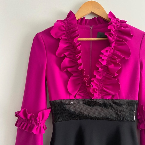 GRETA CONSTANTINE RARE APPLIQUE RUFFLE SEQUIN KNEE LENGTH V-NECK DRESS MARKLE - Picture 4 of 16